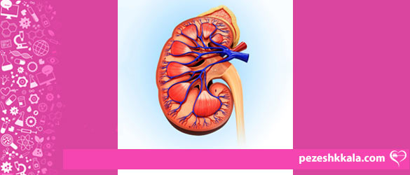 Kidney-function-and-care
