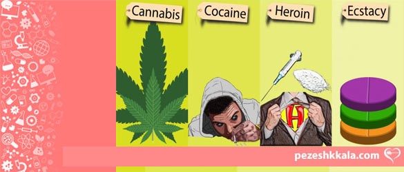 types-of-drugs-its-effects-on-the-human-brain-and-ways-to-prevent-it