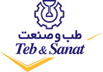 Teb Sanat - چشم بند مخصوص تنبلی چشم طب و صنعت مدل 87300